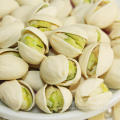 High quality pistachio nuts from China for sale